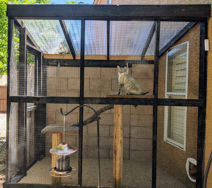 Build A Diy Outdoor Cat Enclosure, How To Build An Outdoor Cat Enclosure